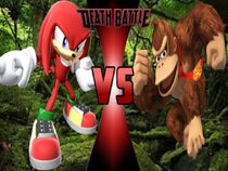 Knuckles vs. DK