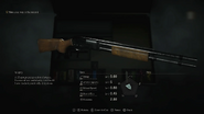 Shotgun