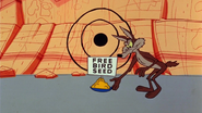 Free Bird Seed