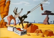 ACME Practice Bombs