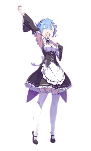 Rem, Wiki