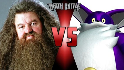 Hagrid vs scary cat