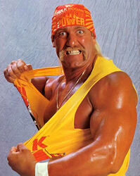 Marty Fielding Hyret obligatorisk Hulk Hogan | Death Battle Fanon Wiki | Fandom