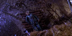 Roy Burns death.