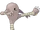 Hitmonlee