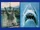 Mosasaurs VS Jaws