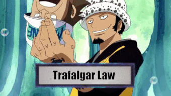 Featured image of post Trafalgar D Water Law Room Gif The best gifs are on giphy