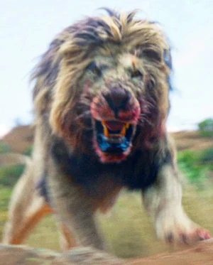 Rogue Lion Beast