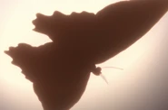 Mothra Planet eater.png (394 KB) Mothra in the Godzilla: Planet Eater anime movie