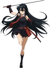 Akame Akame ga Kill