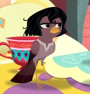Bird