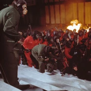Caesar leading the other apes