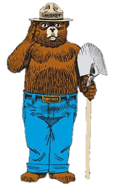 The Smokey Bear Show - Wikipedia