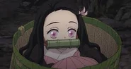 Smol nezuko.jpg (6 KB) Smol Nezuko