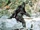 Bigfoot