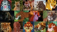 Shere Khan depictions.jpg (185 KB) Various depictions and adaptations of Shere Khan