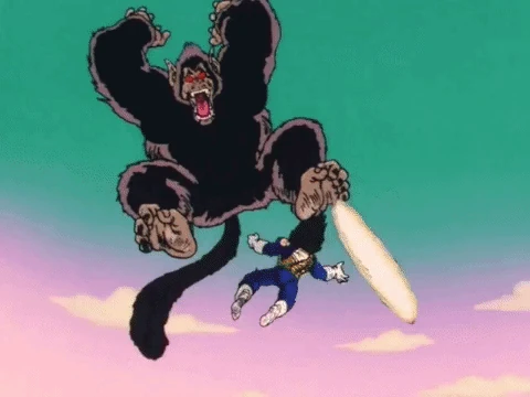 Destructo Disk
