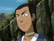 Sokka smiled