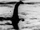 Nessie