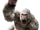 George the Ape