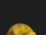 Chica's jumpscare in the second game.