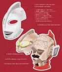 Ultraman Anatomy 2