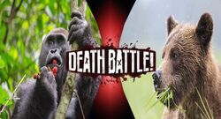 gorilla vs gorilla fight to death