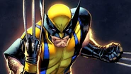 Wolverine (2).jpg (419 KB)