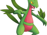 Grovyle (Mystery Dungeon)