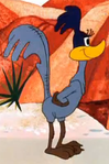 Female Road Runner Costume