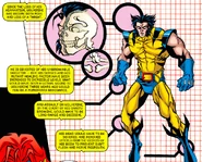 KHSjaCU.png (1.25 MB) Decapitation or severe spinal damage can heavily hinder Wolverine.