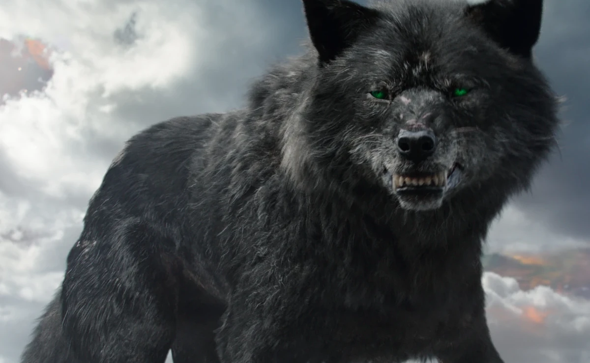 1200?cb=20231101130611