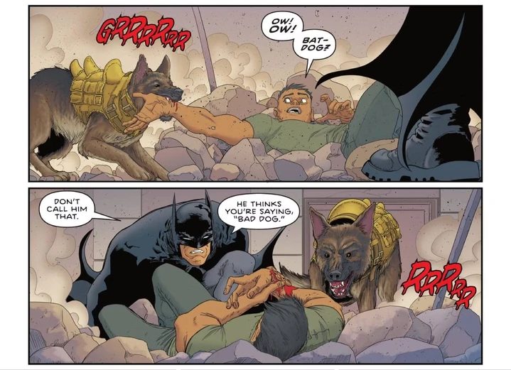 Ace subdues a criminal