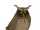 The Owl