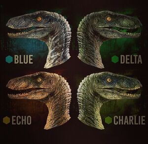 RaptorSquad