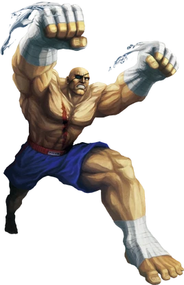 Sagat SF×TK artwork