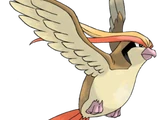 Pidgeot