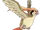 Pidgeot