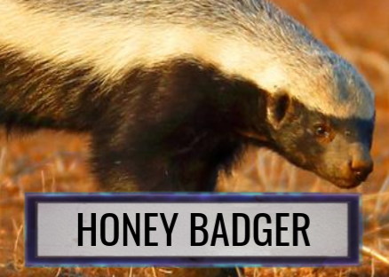 Wolverine vs. Honey Badger