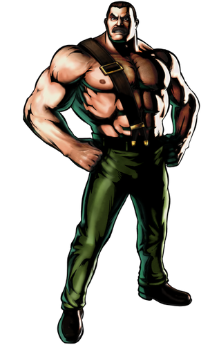 Mike Haggar