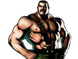 Mike Haggar