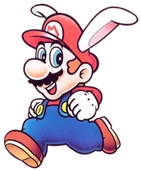 200px-SML2RabbitMario