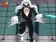 Black Cat from Spider-Man (1994 TV Series) (Earth-92131)