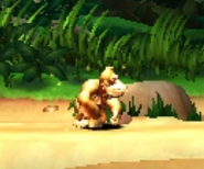 Gold Donkey Kong