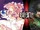 Nanashi (SMT) vs Madoka Kaname