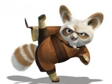 Master Shifu