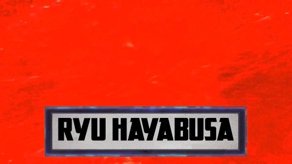 Combatant - Ryu Hayabusa