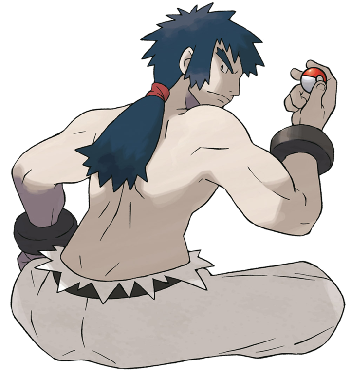 Pokemon Bruno Diferente