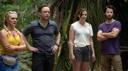 S9e6-DIPFBO-1