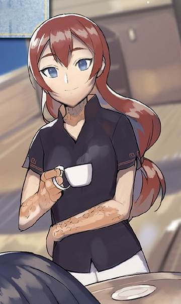 360?cb=20200611051527